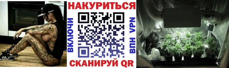 Бошки марихуана конопля  где найти   Волгоград 